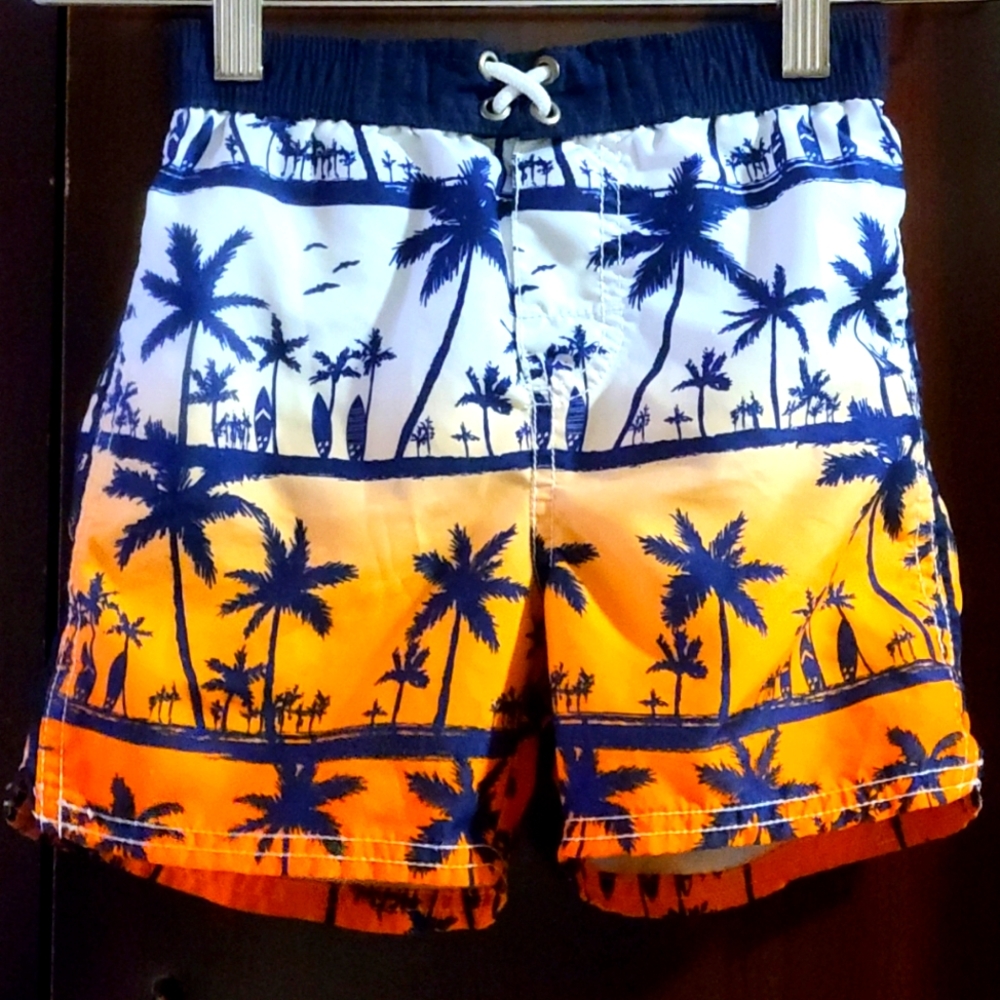 Sunset and Trees Summer Shorts
